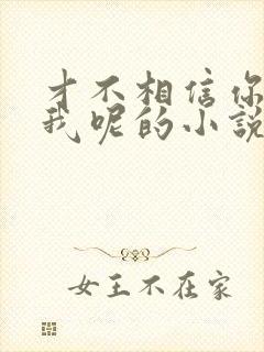 才不相信你暗恋我呢的小说封面