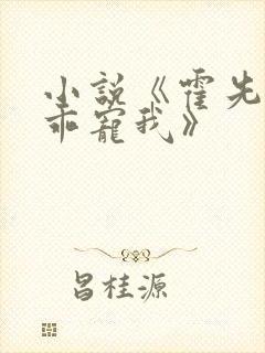 小说《霍先生乖乖宠我》