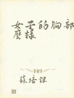 女子的胸部长什么样