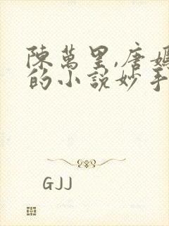 陈万里,唐嫣然的小说妙手大仙医