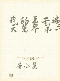 我的弟子遍布诸天万界 第二季封面