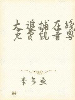 大追捕在线完整免费观看粤语