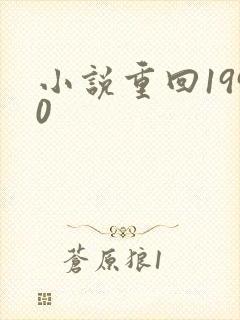 小说重回1990