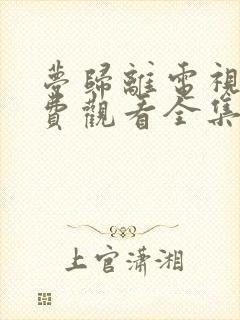 梦归离电视剧免费观看全集高清封面