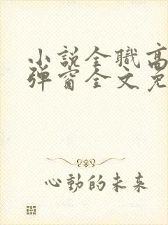 小说全职高手无弹窗全文免费阅读