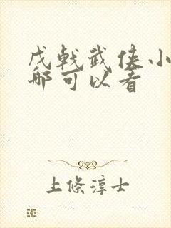 戊戟武侠小说在哪可以看封面