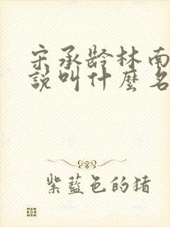 宋承龄林南薇小说叫什么名字