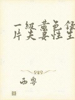 一级黄色录像影片夫妻性生活影片