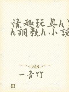 情趣玩具h男男h调教h小说