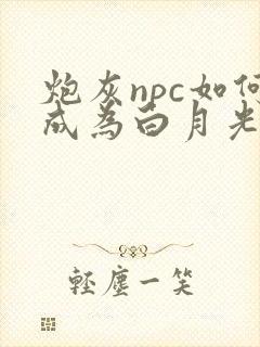 炮灰npc如何成为白月光笔趣阁
