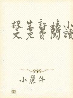 根生许姨小说全文免费阅读最新章节