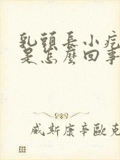 乳头长小疙瘩疼是怎么回事