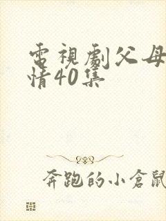 电视剧父母的爱情40集