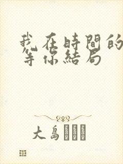 我在时间的尽头等你结局