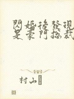 闪婚后发现老公是豪门总裁 全本封面