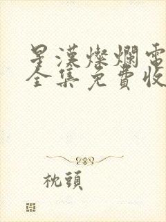 星汉灿烂电视剧全集免费收看封面