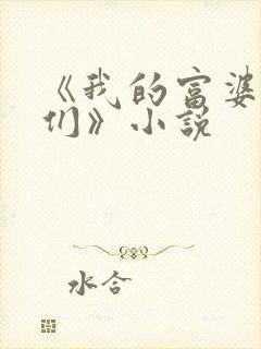 《我的富婆老板们》小说