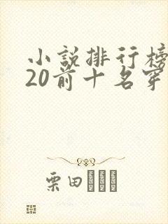 小说排行榜2020前十名穿越封面