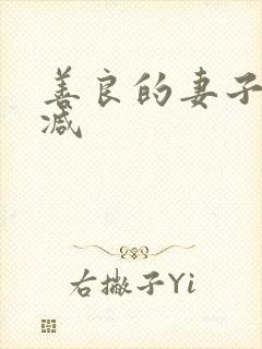 善良的妻子未删减