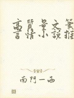 高质量文笔好的言情小说推荐封面