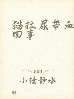 猫拉尿带血怎么回事