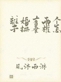 离婚有两个小孩子抚养权怎么判定