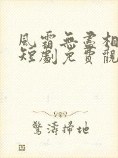 风霜无尽相思情短剧免费观看