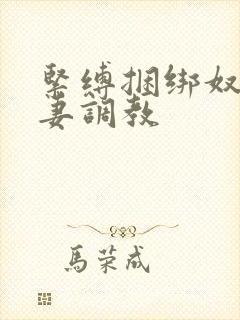 紧缚捆绑奴隶人妻调教