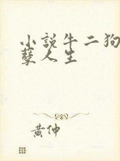 小说牛二狗的妖孽人生封面