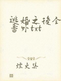 逃婚之后全文加番外txt