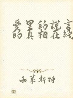 爱里的谎言仇恨的真相在线观看