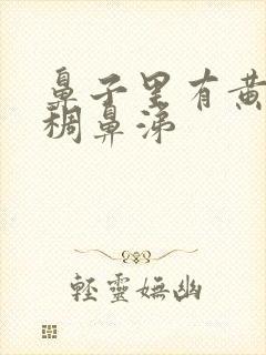 鼻子里有黄色浓稠鼻涕封面