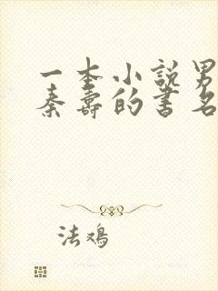 一本小说男主叫秦寿的书名