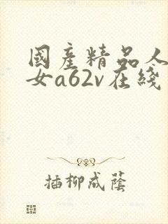 国产精品人妻熟女a62v在线