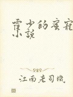 霍少的蜜宠娇妻小说