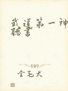 武道第一神在线听书封面