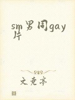 sm男同gay片