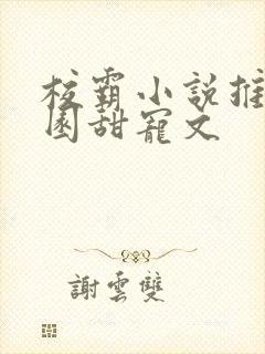 校霸小说推荐校园甜宠文