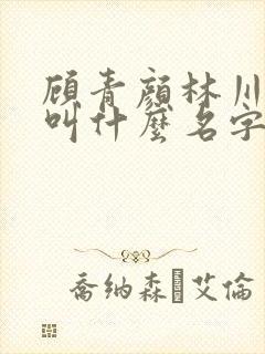 顾青颜林川小说叫什么名字