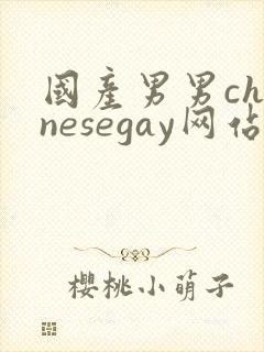 国产男男chinesegay网站