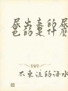 尿出来的尿是红色的是什么原因女性