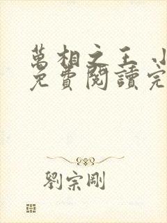 万相之王 小说免费阅读完本封面