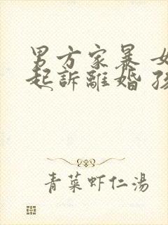 男方家暴 女方起诉离婚 孩子抚养权归谁