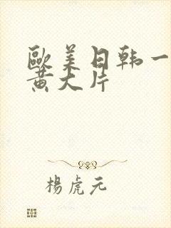 欧美日韩一级特黄大片