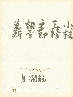 万相之王小说最新章节精校版