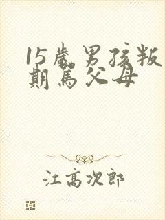 15岁男孩叛逆期骂父母