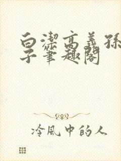 白洁高义孙倩东子笔趣阁封面