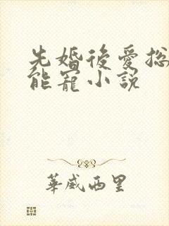 先婚后爱总裁太能宠小说