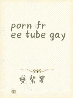 porn free tube gay封面