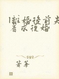 l离婚后前夫哭着求复婚封面